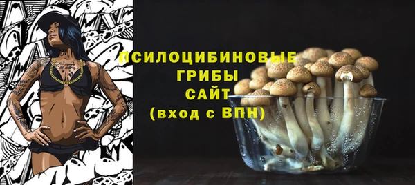 экстази Осташков